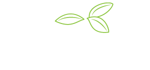 logo Serpinet Conseil