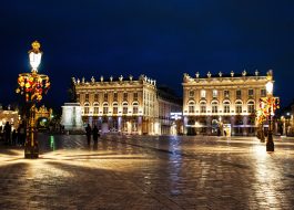 Expert Protection Agricole 54 H/F